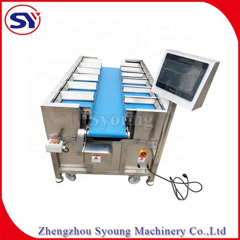 Automatic Combination Scale Tray Weigher Food Belt Weighing Machine