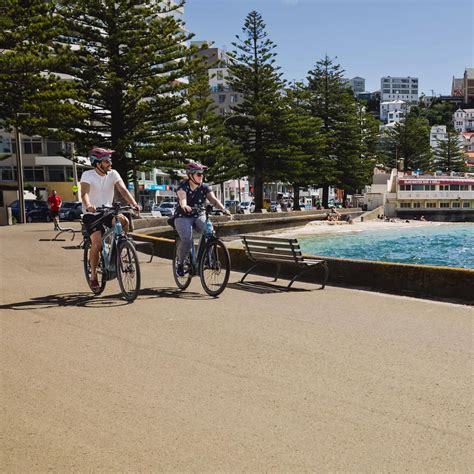 Your guide to seeing Wellington - WellingtonNZ