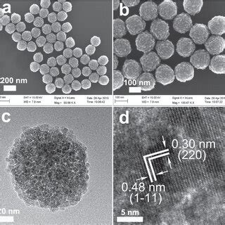 Representative SEM Images Of Magnetite Fe3O4 NPs At Low A And High