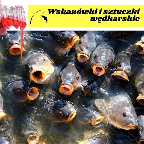 Fish Point – Naturalna przynęta dla ryb 250ml - Movoshop PL