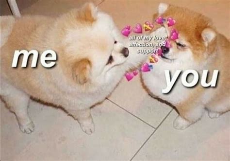 Wholesome Memes💞💗 On Instagram Tag Someone You Love Wholesome Memes Memes Wholesome Pictures