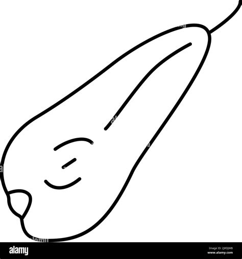 Pear Conference Tree Stock Vector Images Alamy
