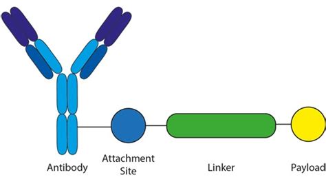 Adc Linker Broadpharm