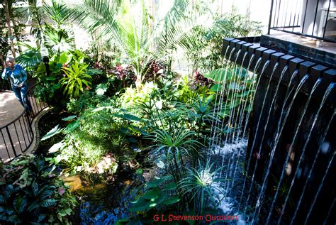 Inside Callaway Gardens Butterfly Center Callaway Gardens, Cactus ...