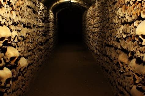 Parijs Toegangskaartje Voor De Catacomben Audiogids En Riviercruise