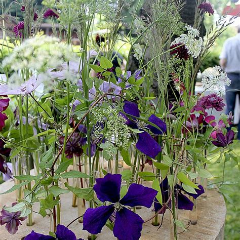 Impressionen - Gärtnerei | Landschaftsbau | Gartenbau | Galanthus