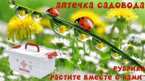 Аптечка садовода - YouTube