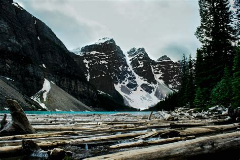 Tree logs on body of water under mountains photo – Free Mountain Image