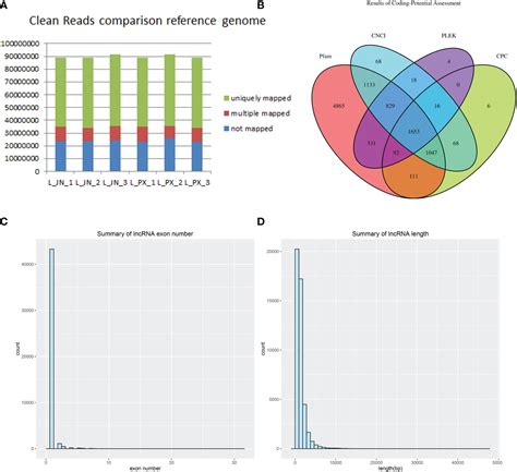 Frontiers Identification And Analysis Of Lncrna Mirna And Mrna