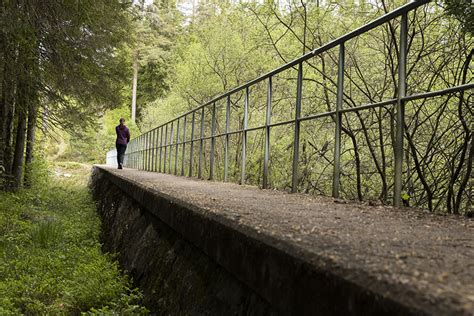 Sex små sjöar blev en stor vandra Storsjöleden Det Vilda Göteborg