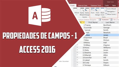 Cuales Son Las Propiedades De Los Campos En Access Thetanmapa