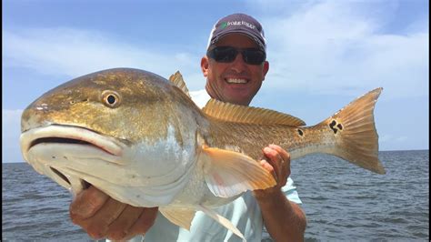 Meet The Redfish How And Where To Catch A Red Drum Off