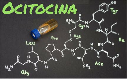 Onde A Ocitocina É Produzida - Ocitocina: o hormônio do amor? - Brasil Escola