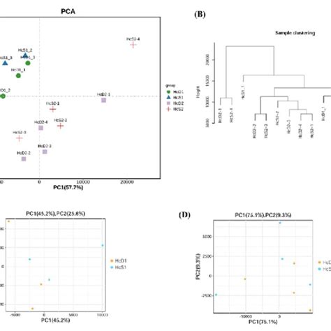 Sample Relationship Analyzed By Principal Component Analysis PCA And