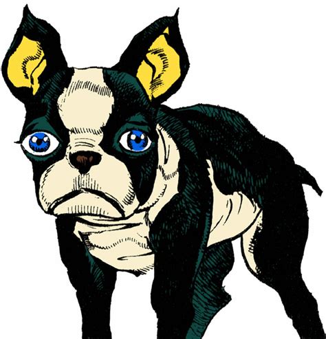 File Iggy Hftf Render Jojo S Bizarre Encyclopedia Jojo Wiki