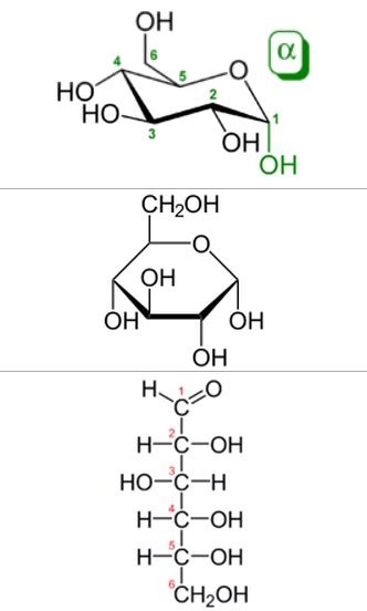 Rumus Kimia Glukosa Rumus Kimia 13764 | The Best Porn Website