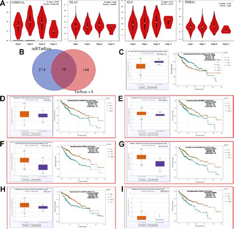 Figure 7 From Crosstalk Of Cuproptosis Related Prognostic Signature And