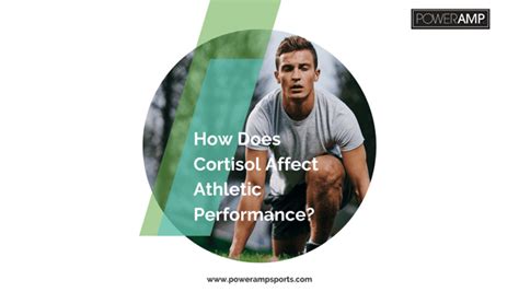 How Does Cortisol Affect Athletic Performance Poweramp Sports