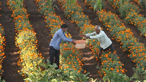 Elevar Equity Por Qu Un Fondo De Impacto Invierte En Startups En Am Rica Latina Infobae