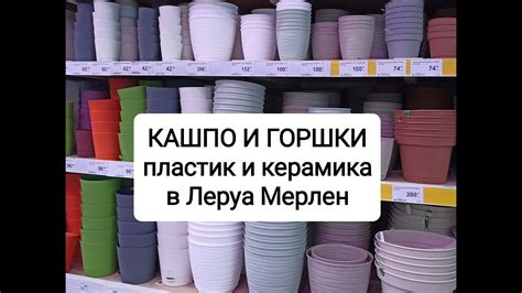 Кашпо и горшки для комнатных растений: пластик и керамика в Леруа ...
