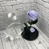 ЖИВЫЕ РОЗЫ В КОЛБЕ В МОСКВЕ И МО | Интернет-Магазин, где можно купить ...