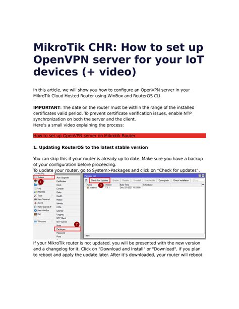 Mikro Tik Chr Mikrotik Chr How To Set Up Openvpn Server For Your Iot