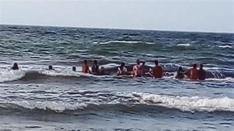 Muri La Ballena Que Encall En Costas De Puerto Escondido C Rdoba