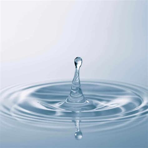 purified water fizzywhiz
