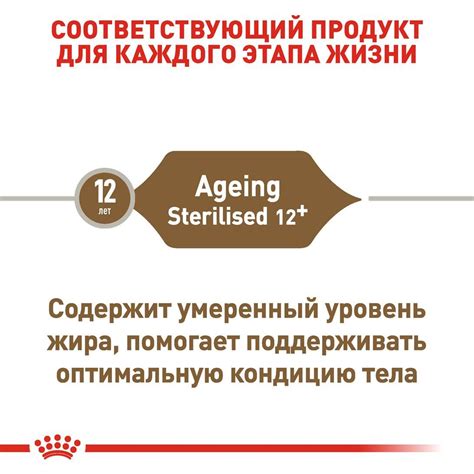 Sterilised Ageing 12+ | Royal Canin UA