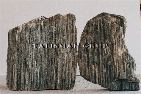 Ксило- Talisman Grup