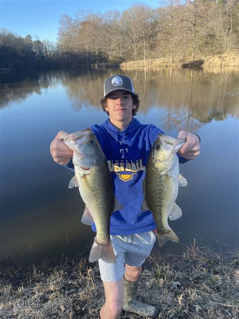 northeast mississippi daily journal obituaries 1