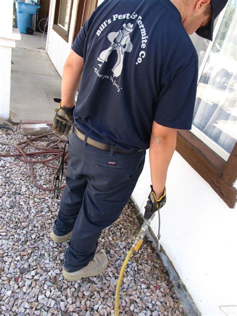 Arizonas Termite Expert June 2012
