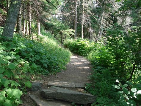 Trail Cascade River State Park Mykl Roventine Flickr