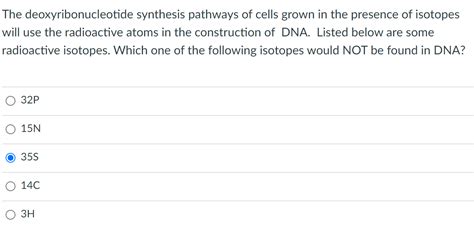 Solved The deoxyribonucleotide synthesis pathways of cells | Chegg.com