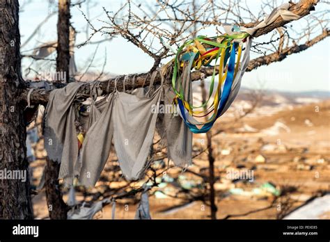 Shamanic tree hi-res stock photography and images - Alamy