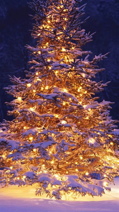 Christmas Tree Snow Wallpaper - WallpaperSafari