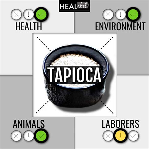 Tapioca Benefits Side Effects Vegan Low Fodmap Gluten Free