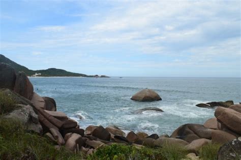 Swimsuit Off On Brazils Most Famous Nude Beach