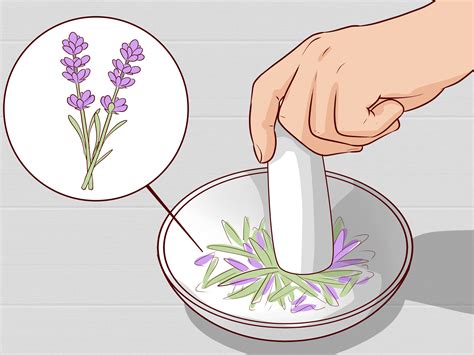 3 Ways to Make Mosquito Repellent - wikiHow