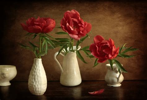 Три пиона / Утренним солнцем давно Чуткий мой сон озарён Дрогнули вежды ...