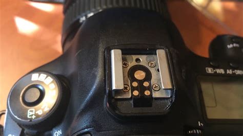 Canon Hot Shoe Extension Cable At Susie Branch Blog