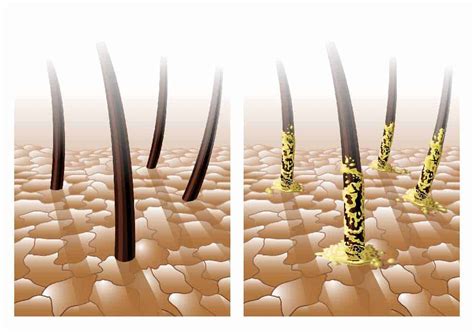 how to tell if hair is oily