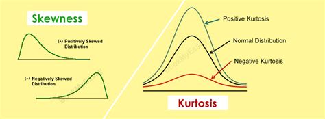 skewness kurtosis assignment  spss assignment  statistics