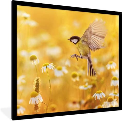 Fotolijst Incl Poster Vogel Koolmees Bloemen Margriet 40x40