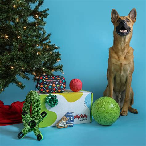 Jolly Soccer Balls Jolly Pets