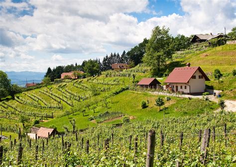 underrated european wine regions slovenia wine country