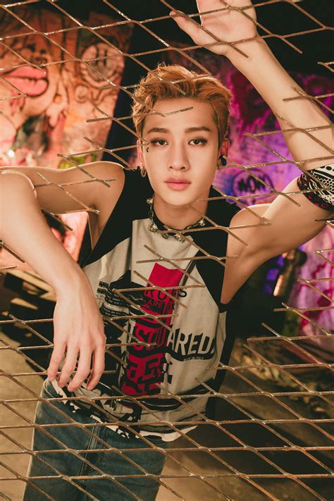 100 Stray Kids Pictures