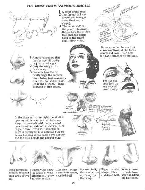 Drawing the Head and Figure - Jack Hamm | Drawing tutorial face ...
