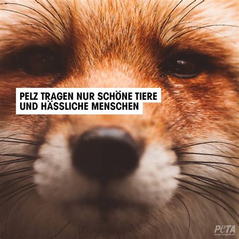 Pin von Angie Höll auf Wahrheiten Tiere Tierschutz Tierliebe