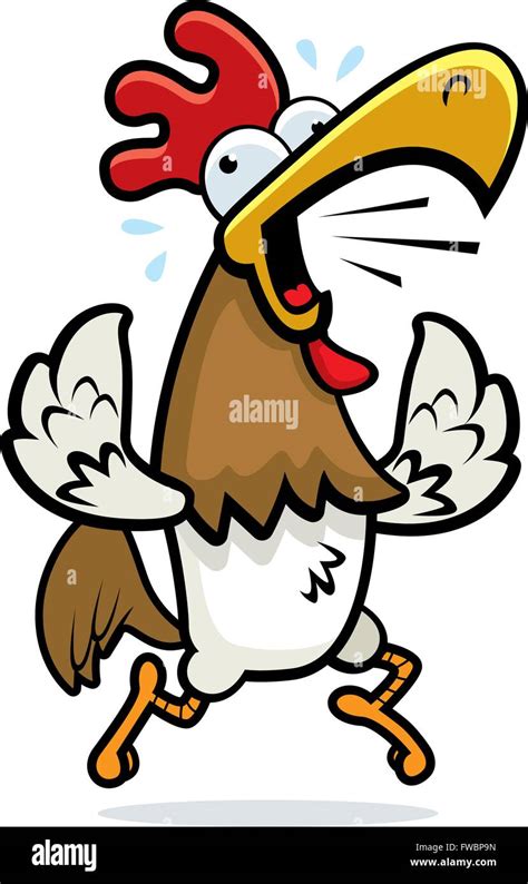 A Cartoon Rooster Running And Crowing Stock Vector Image Art Alamy